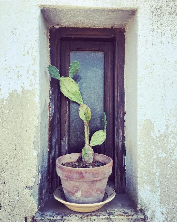 {{tr('3095a82b-c11d-4c9e-9250-ef5086ed2798')}}