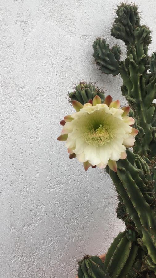 {{tr('3095a82b-c11d-4c9e-9250-ef5086ed2798')}}