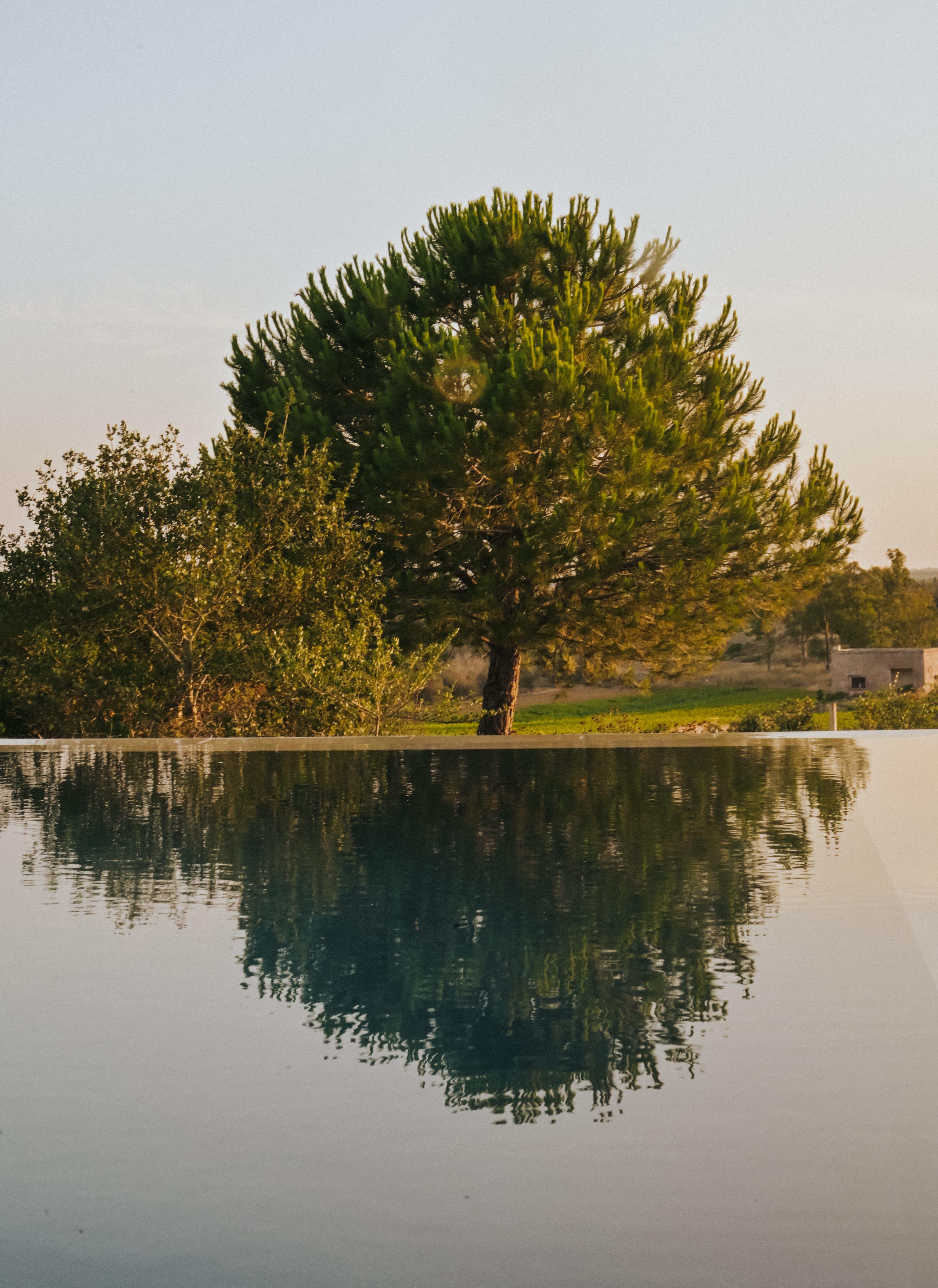 Una piscina tranquilla circondata dalla natura in una zona rurale.
